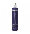 Abril Et Nature Shampoo Platinum 250ml