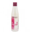 Salerm Cosmetics Shampoo Hi Repair 01 250ml