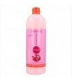 Salerm Cosmetics Pomegranate shampoo 1.050ml