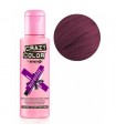 Crazy Color 61 Burgundy 100ml